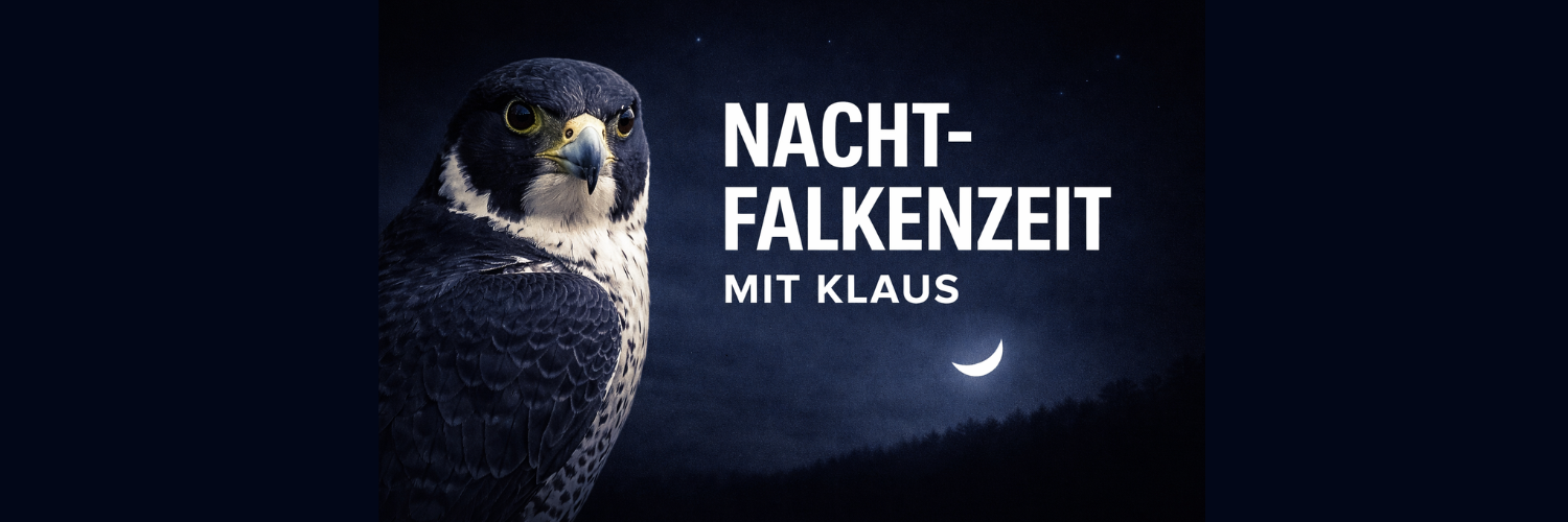 Nachtfalkenzeit mit Klaus